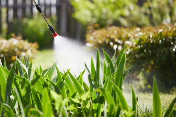 24/7 Emergency Ant Control experts in Sutherland, NE
